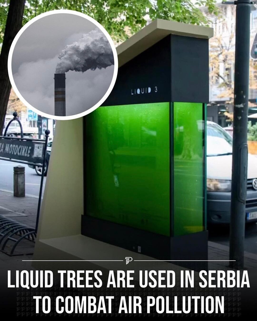 All you need to know about the Liquid Trees!