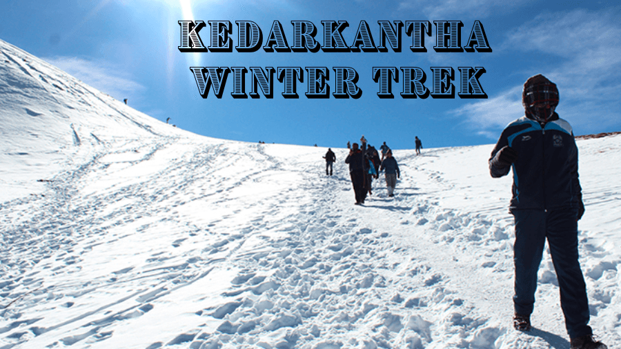 Kedarkantha Winter Trek 2024- A Detailed Itinerary under 4999/-