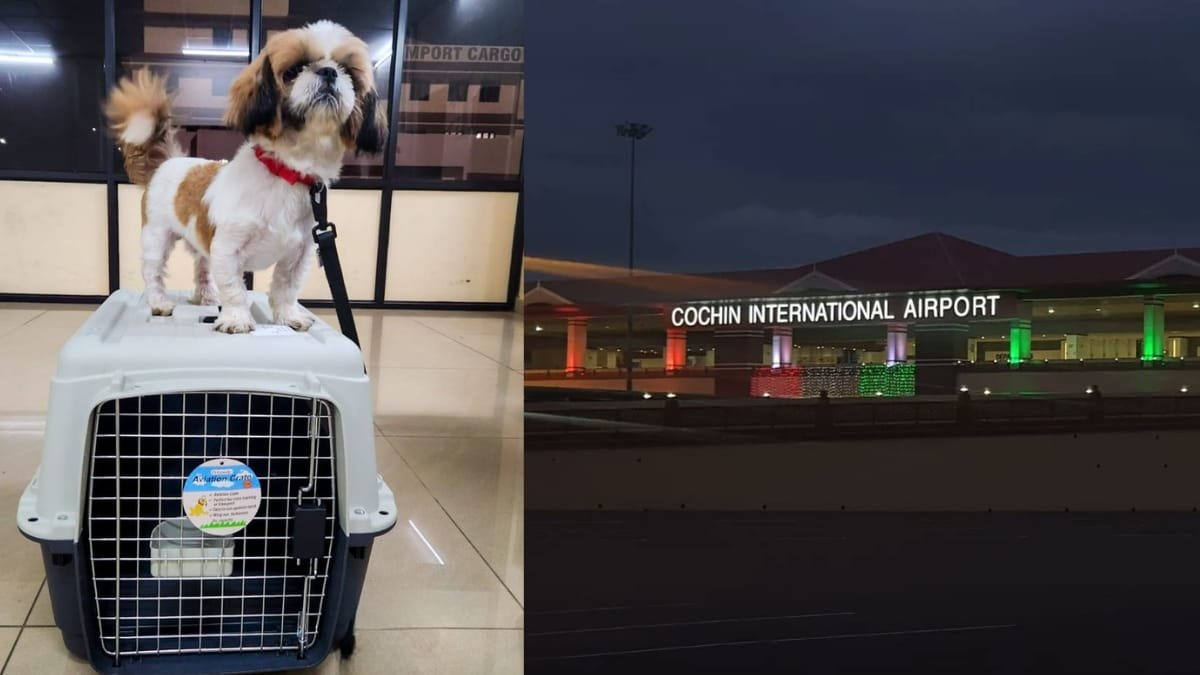 Kochi Airport Makes History as Kerala's First to Facilitate International Pet Travel
